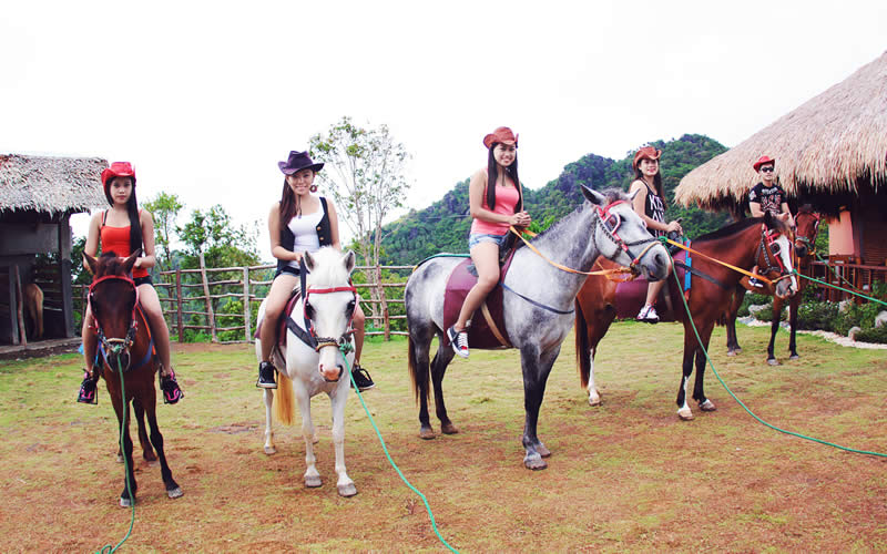 Horses on the beach at Dakak.